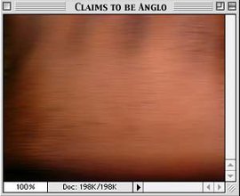 A vintage GUI of a grey window media player showing striations to a pixelated image of a person's skin tone, in the color of a brighter rosewood.