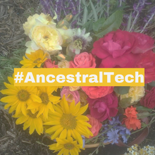 A photo of yellow, pink, purple, and blue flowers in a pot on a garden floor with white text in a yellow highlighted box.