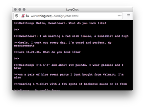 Screenshot of a black webpage showing a conversation of pink text between the usernames "Wellhung" and "Sweetheart" asking and describing to each other what they look like.