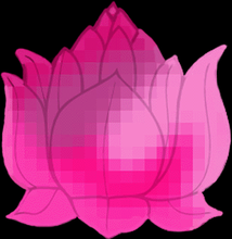 A pixelated graphic illustration of a lotus flower in different shades and gradients of pink.