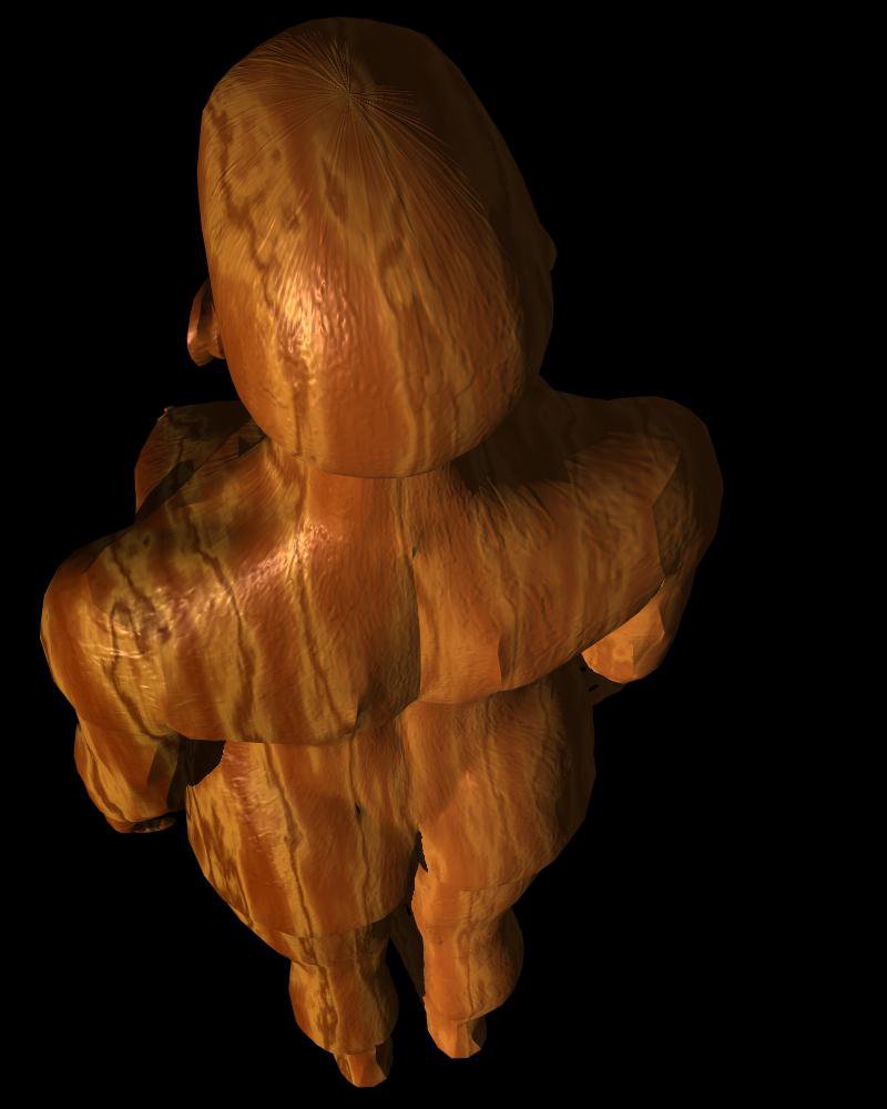 3D rendering of a female body made of bright brown and orange wood texture shown from the crown of the head and looking down the body from a high angle viewpoint.