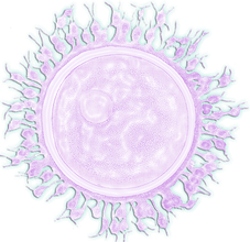 a light purple cell with purple strands on all edges