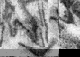 Black and white abstract and pixelated image of a hand pressing down on a soft surface, like the torso of a body.