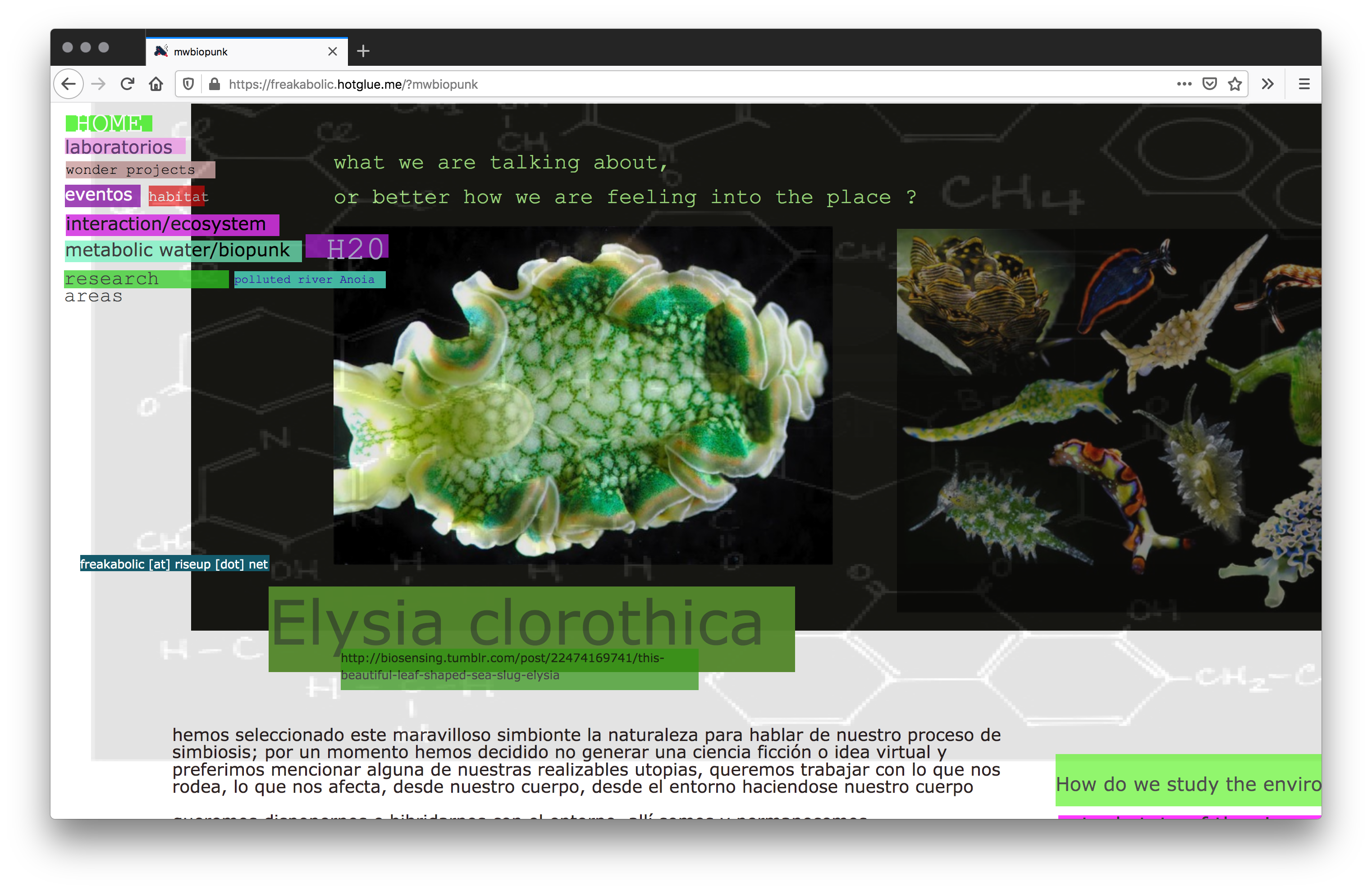 Screenshot with color text sitting on top of an image of a black background with hi-fidelity, bright bio-organisms