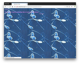 A webpage with blue and white images of sperm cells tiled as the background. There is a line of soft pink text at the top with two panels of small pink squares.