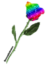 gif of a sparkling rainbow colored rose