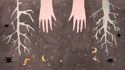 A watercolor drawing of two hands digging into the soil, in between roots to  a plant and surrounded by black spiders and colorful bright worms.