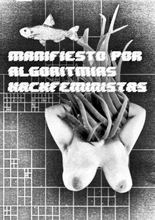 Black and white poster of a female torso with breasts and unshaved armpits raising its arms to its head made of an anemone. A fish swims by. Behind is a large gird of various sized fibonacci grids. A title is made with an old school video game font.