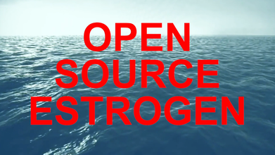 "Open source estrogen" typed in large bold red text in front of a blue open calm ocean that meets a light blue clear sky.