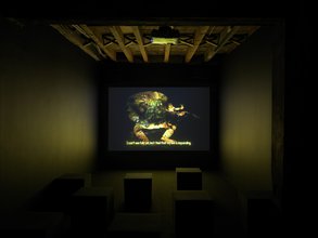 Photo of a small dark art gallery theater. Projected onto the wall is an amphibian creature with the legs of a frog and the body of a lava cake. Its green and white, yellow, and brown spotted slimy skin melt off onto the floor.