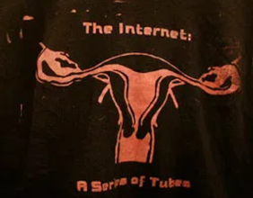a low-quality photograph zoomed in on a uterus surrounded by the text “The Internet: A Series of Tubes”