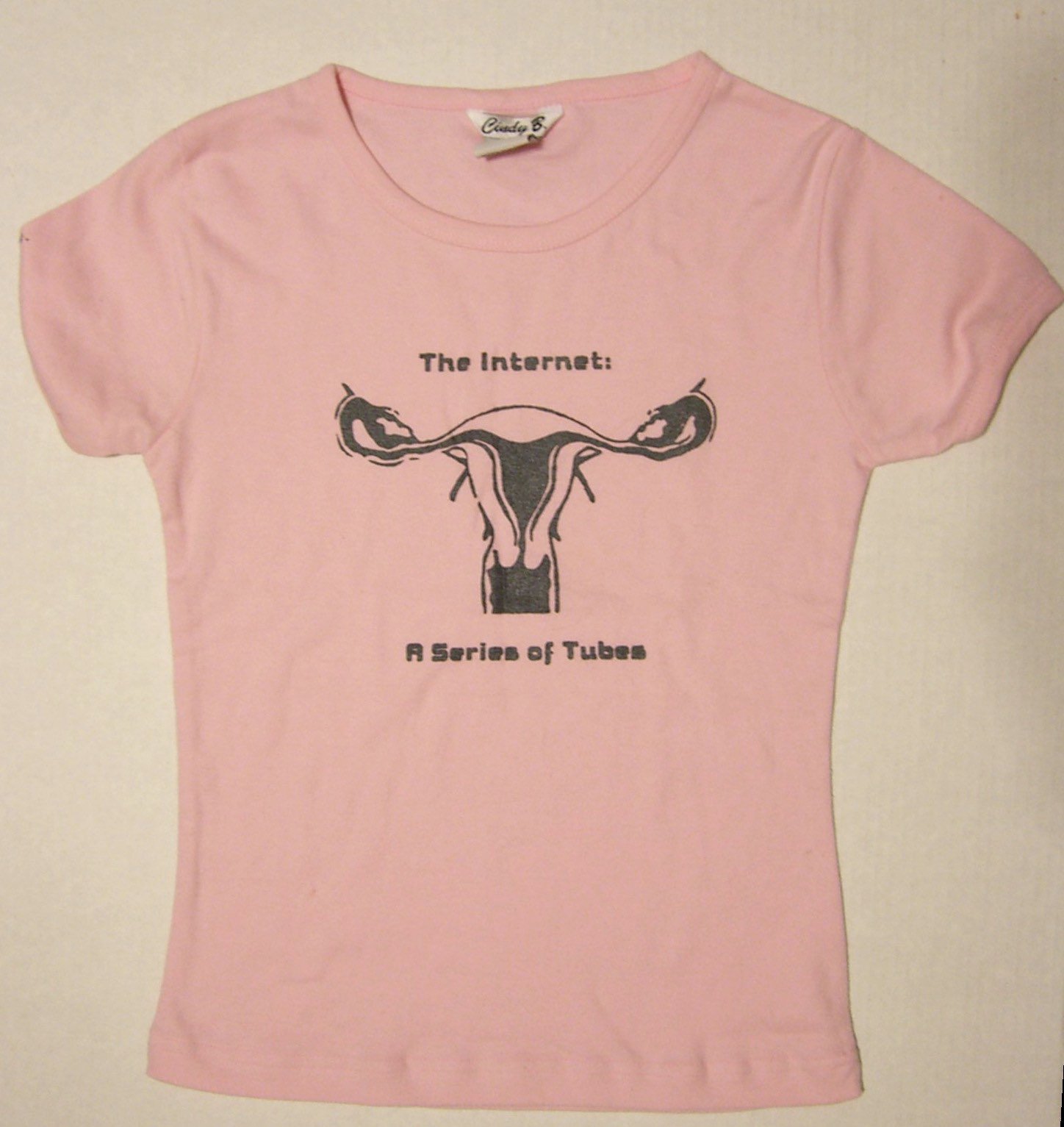 a pink t-shirt with an image of a uterus surrounded by the text “The Internet: A Series of Tubes”