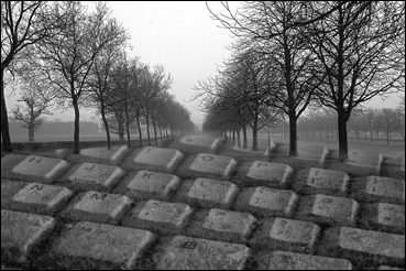 A black and white surreal photo collage of a grass road lined by naked trees on a crisp over-cast winter day. A low opacity image of a computer keyboard blankets the grass road.