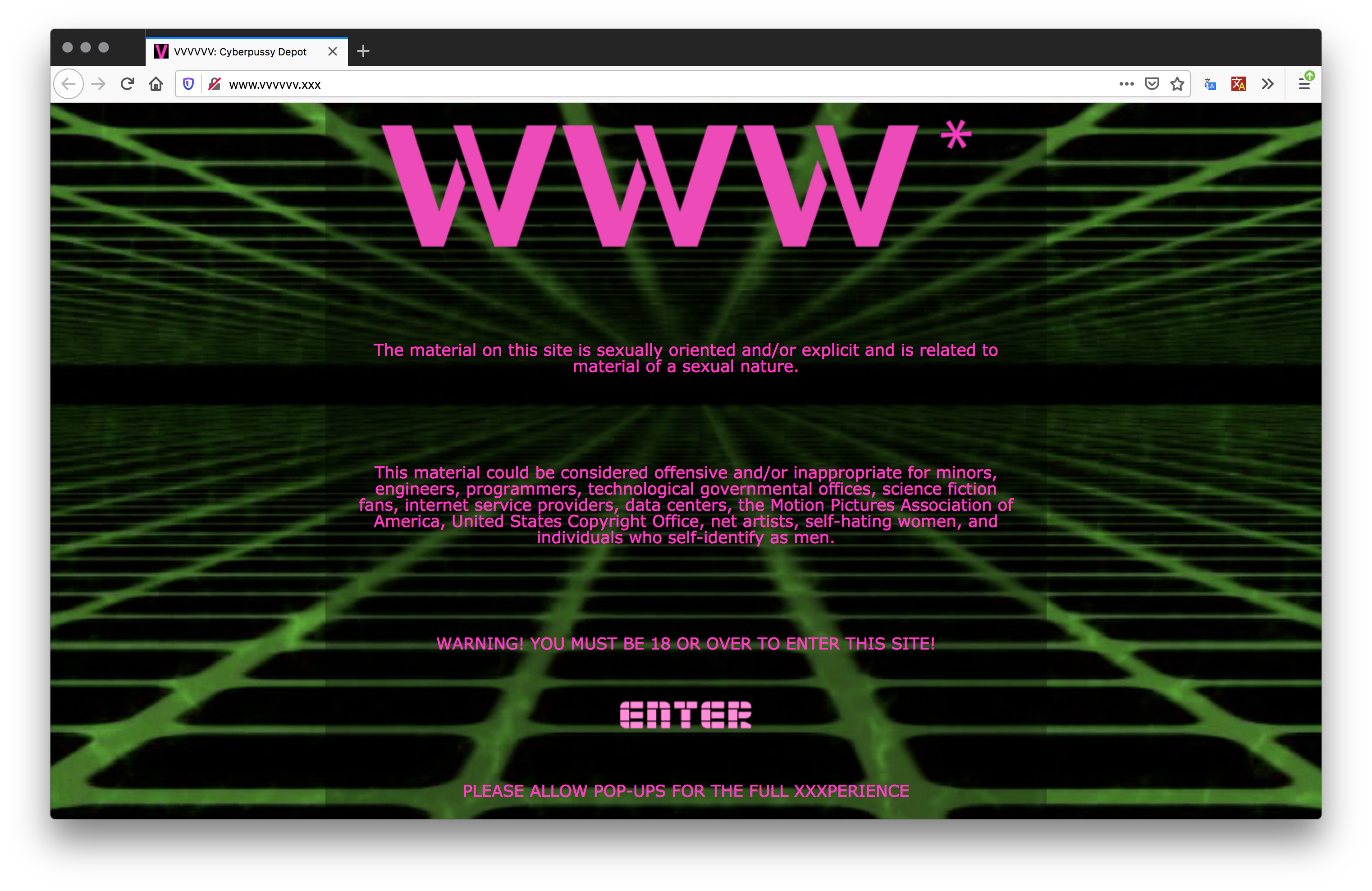 Screenshot of a green and black infinite gird webpage. A large transparent black box is in the center and is made of a large "WWW*" hot pink followed by hot pink text and an "Enter" sign made of a blocky tech font in light pink text.