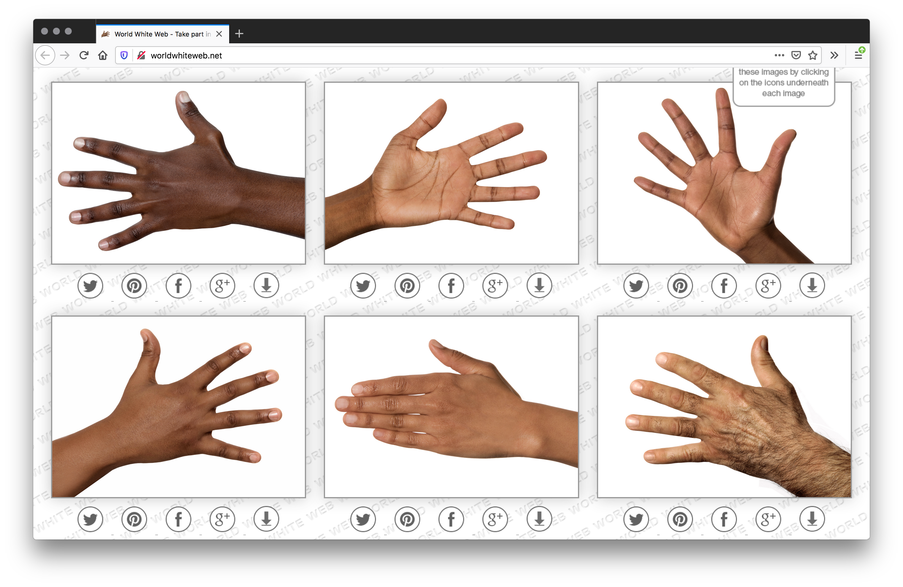 Screenshot of two rows of six different skin toned hands showing either the back of the hands or palms in white rectangles, lined by social media icons on the bottom. The background is diagonally tiled "white web world" typed.